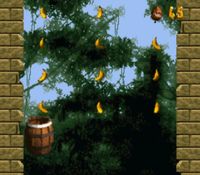 une photo d'Ã©cran de Donkey Kong Country sur Nintendo Super Nes